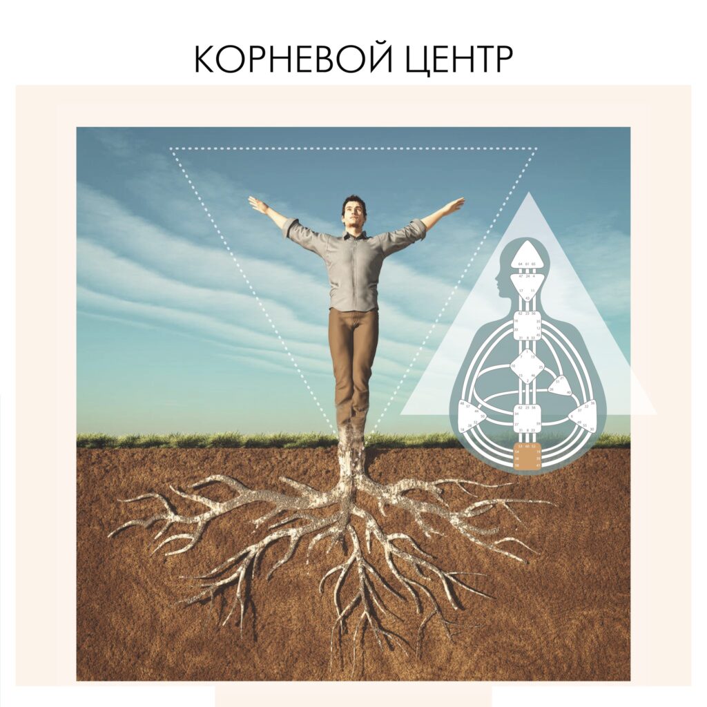 Корневой центр в бизнесе