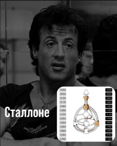 Профиль 6/3 — Ролевая модель/Мученик. Полное описание. Базовый архетип в Дизайне Человека