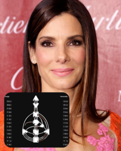 Как центры бодиграфа могут улучшить ваше здоровье: психосоматика и Дизайн Человека для гармонии и благополучия.