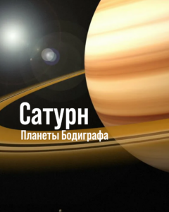 Линия №1 в бизнесе
